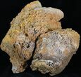 Agatized Fossil Coral With Druzy Quartz - Florida #30702-2